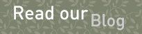 Read Our Blog