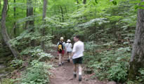 Hiking in the forest