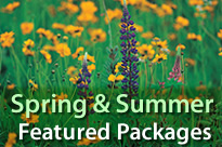 Spring & Summer Featured Packages