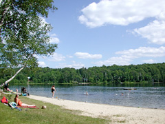 Birch Beach on Doe Lake