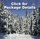 Special Winter button
