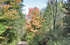 seguin trail thumbnail