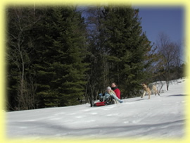 Winter play day