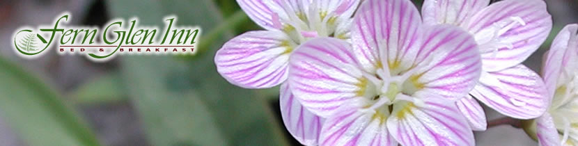 Flower on our trails