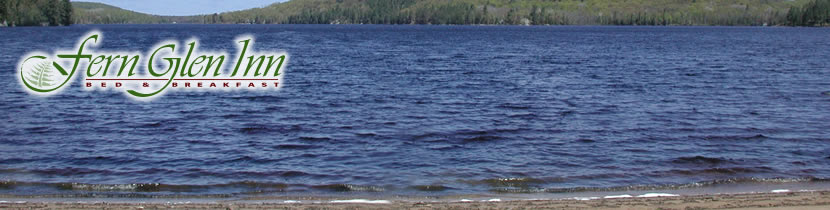 Beach scene