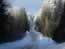 Winter Road