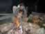 Manning the Fire