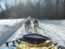 Dog sledding rider's view