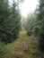 Pathway