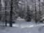 Snow Trails