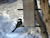 Chickadee at Birdfeeder