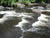 Magnetawan Rapids