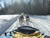 dog sledding