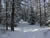Snow trail